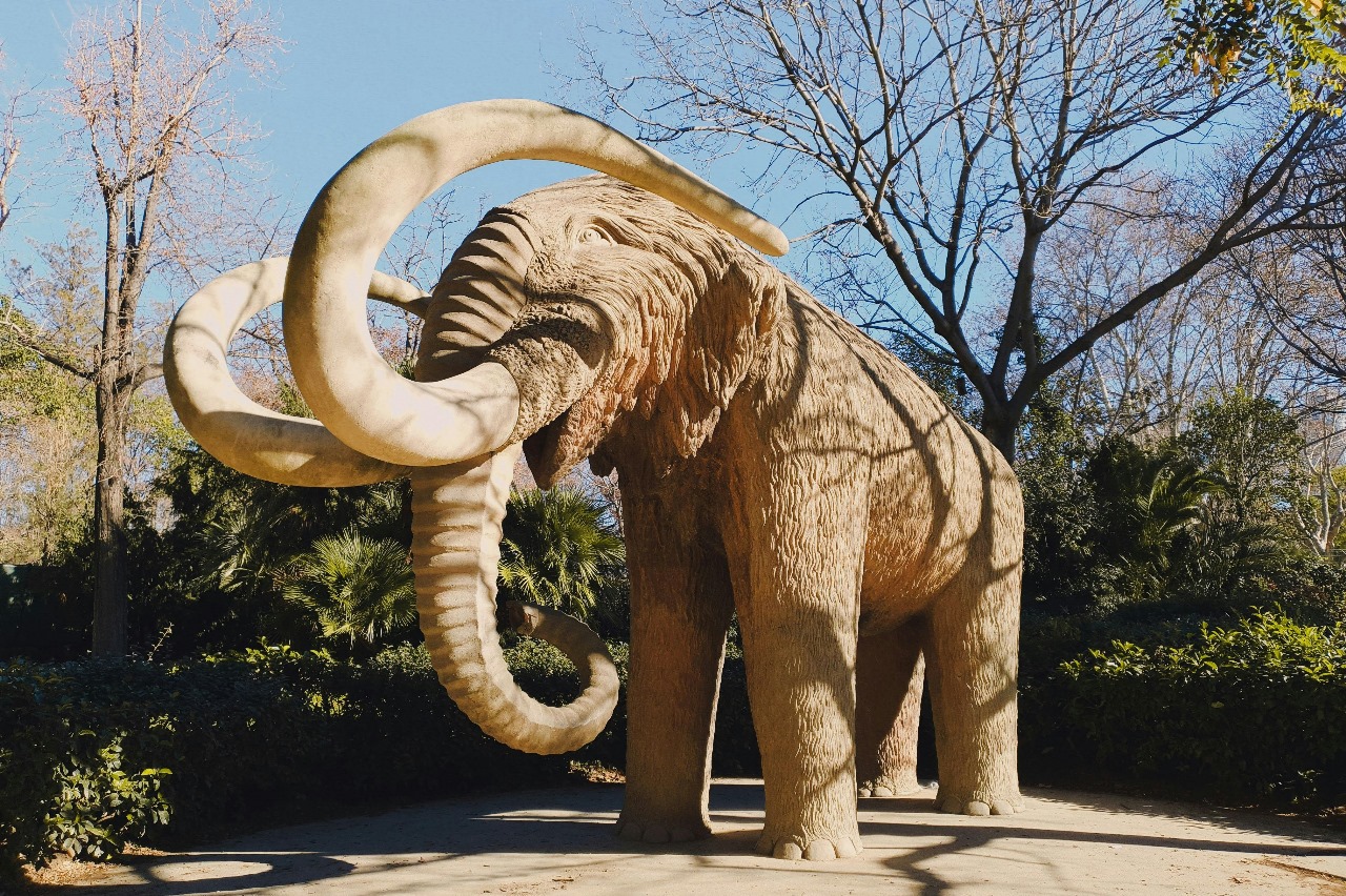 Suketi Fossil Park (5 km)